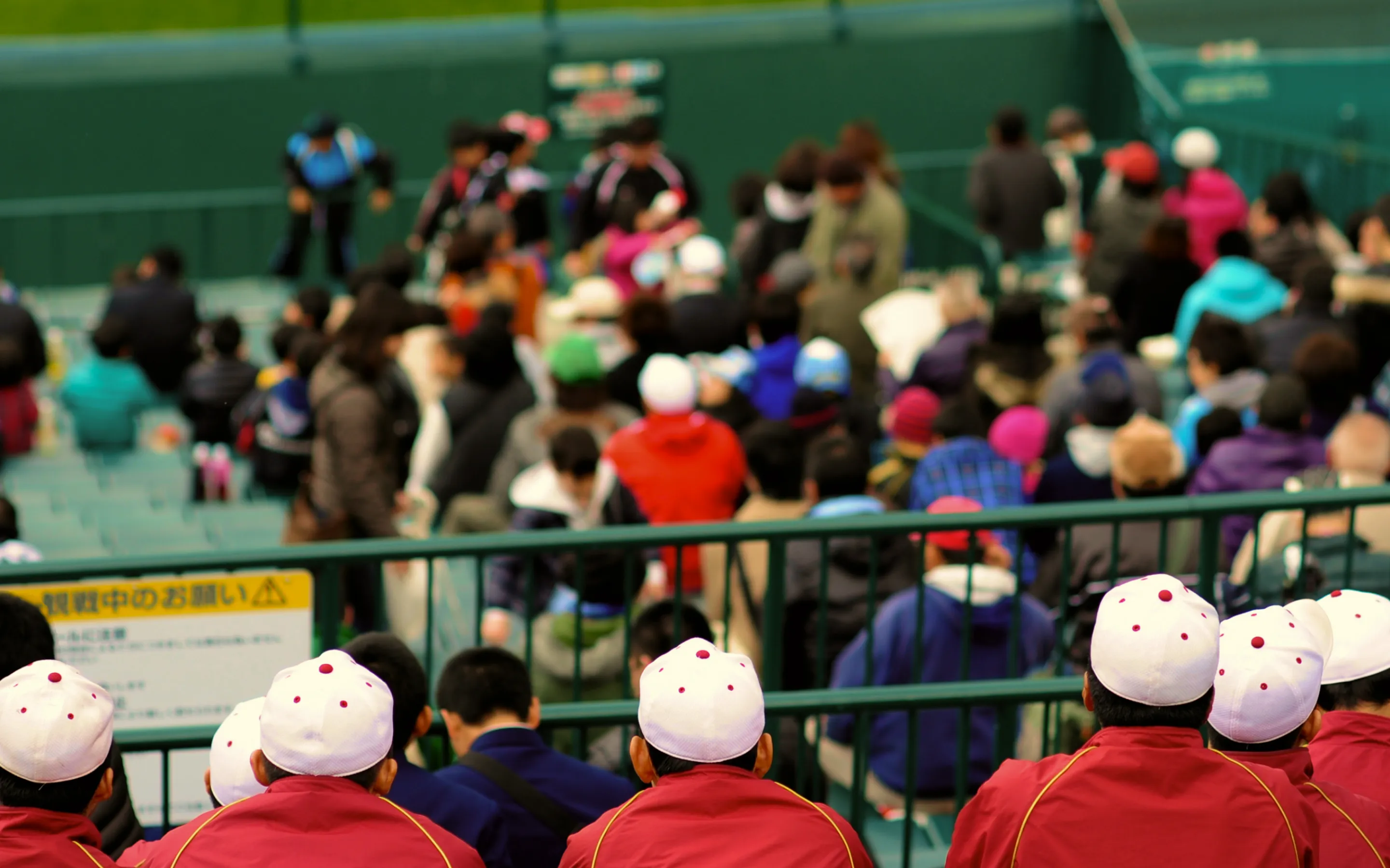 FAV LUX 宮崎 Baseball Viewingイメージ