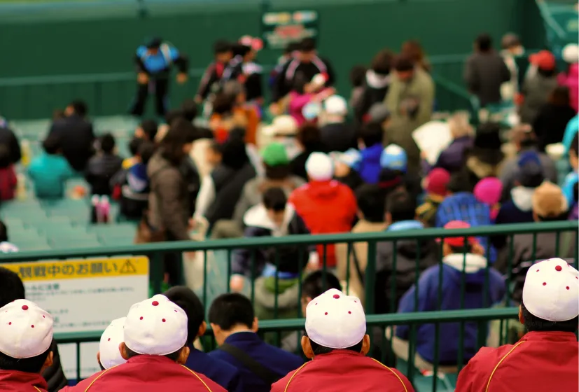 Baseball Viewingのイメージ