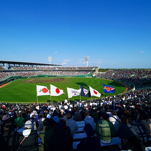 野球キャンプ地巡り：熱球の聖地巡礼