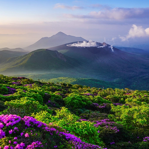 高千穂峰：淡紅紫に彩られる霊峰